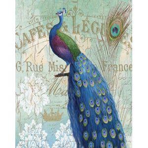 Diamond Painting - Een blauwe pauw - fotoformaat 40x50cm - Volledige dekking - Ronde steentjes - blue peacock- Dieren - Pauwen