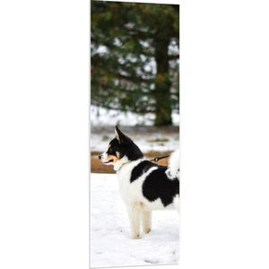 WallClassics - PVC Schuimplaat - Aangelijnde Zwart met Witte Puppy in de Sneeuw - 50x150 cm Foto op PVC Schuimplaat (Met Ophangsysteem)