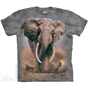 The Mountain - T-shirt - Tye Dye - 100% Katoen