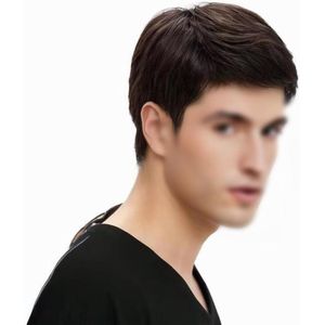 Donkerbruine Herenpruik Kort Natuurlijk Pluizig Haar Rollenspel Halloween Jurk\Webshop.