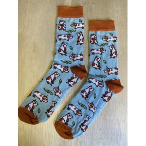 SOKn. Trendy sokken *CAVIA'S* maat 35-41 (ook leuk om kado te geven !)