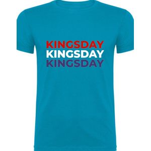 Koningsdag - volwassen T-shirt - Oranje feest - Blauwe T-Shirt - Maat Small - T-shirt - Grappige teksten - Koningsdag Cadeau - T-Shirt cadeau - Quotes - verjaardag - Nederlandse vlag