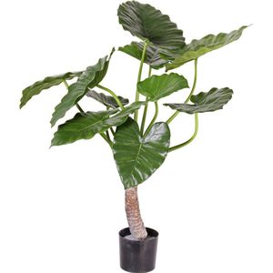 Kunstplant - Olifantsoor - Alocasia calidora op Stam hoogte 80cm