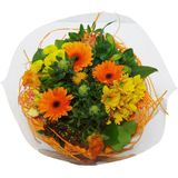 Boeket Sisal Large Oranje ↨ 35cm - bloemen - boeket - boeketje - bloem - droogbloemen - bloempot - cadeautje