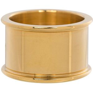 iXXXi Basisring R1801-01 Goud 12mm (16-21MM)