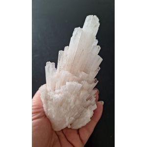 Healing Magic 777 - Scoleciet - edelsteen voor hogere leiding en lichtfrequenties - kruinchakra en derde oog - zielsverbinding - edelsteen voor rust en helderheid, vertrouwen en bewustzijnsverruiming