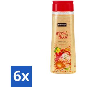 6 x Sence - Body-X Twilight Amber - Douchegel - Voor Vrouwen - 500 ml - Douchegel - Vrouwen - Geur - Bloemen - Appel