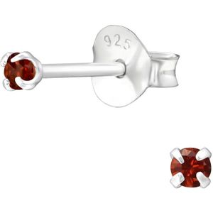 La Rosa Princesa Rode Mini Oorknoppen Zirkonia Zilver | 2mm Rood