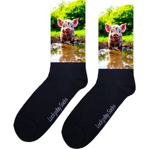 Varken - Opkikker - Grappige sokken - Valentijns cadeau - Verjaardag cadeau - Sint cadeau - Leuke sokken - Modder - Vrolijke sokken - Cadeautje - Grappig cadeau - Kerstsokken - Kerstcadeau - Vaderdag - Moederdag - Socks maken Happy - 37-44