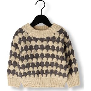 Rylee + Cru Relaxed Knit Sweater Truien & Vesten Jongens - Sweater - Hoodie - Vest- Grijs - Maat 68/80