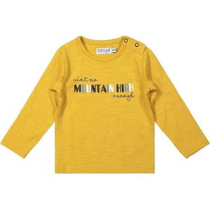 Dirkje Jongens Tshirt Mountain High Ochre