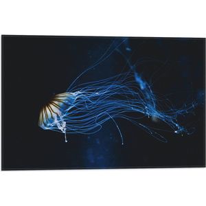 WallClassics - Vlag - Geel met Blauwe Kwal onder Water - 60x40 cm Foto op Polyester Vlag