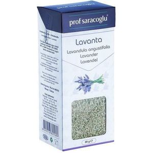 Prof Saracoglu Lavendel (Lavandula angustifolia)