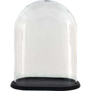Stolp 32*19*40 cm Transparant Hout, Glas Ovaal Glazen Stolp