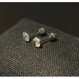 No-Fade Hypoallergene Titanium Stalen Edelsteen Oorbellen Sieraden Voor Dames En Heren