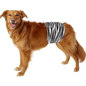 Hondenluier - XXL - Zebra - Plasband - Voor grote reutjes - Bij incontinentie