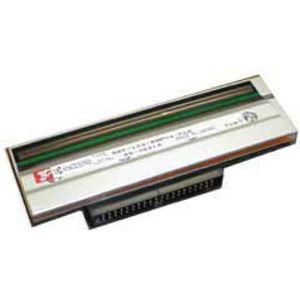 Printhead Zebra T300, 203dpi