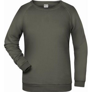 James And Nicholson Dames/dames Basic Sweatshirt (Donkergrijs)