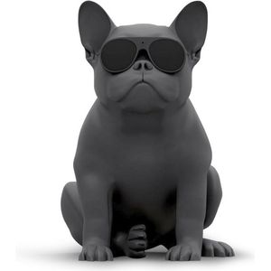 Jarre - AeroBull XS1 - Bluetooth-luidspreker - Mat Zwart - 120 Watt Draadloos Geluid