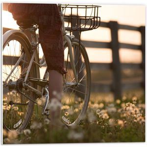 Forex - Witte fiets door Paardenbloemen - 50x50cm Foto op Forex
