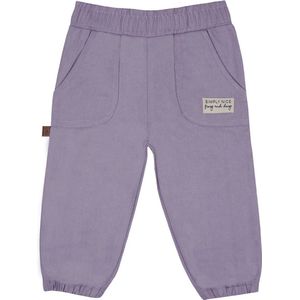 Frogs and Dogs - Twill Broek | Lavender Blue - Katoen - Maat 50/56