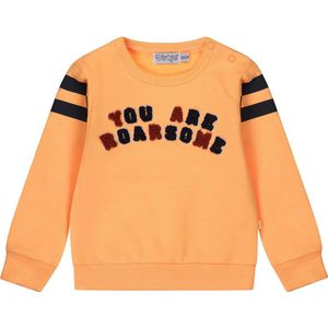 Dirkje S-SUPERIOR Jongens Trui - Maat 62