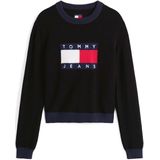 Tommy Jeans, Dames, Truien, Zwart, Maat: 2XS