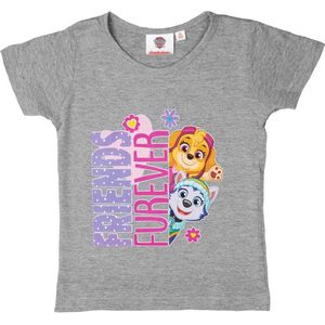 Paw Patrol T-Shirt - Korte Mouw - Grijs/Multi - Friends Forever - Maat 98/104
