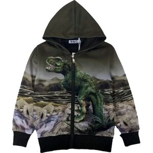 Kinder vest met Dino Dinosaurus full color print | Capuchon | Kleur groen | Maat 98/104 | Sweatvest | T-rex | Supermooi!