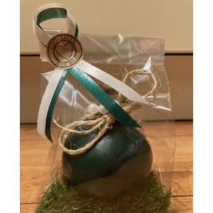 Wax Amaryllis Groen in leuke geschenkverpakking - wax bol - cadeau verpakking