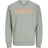 JACK&JONES JJTEX SWEAT CREW NECK Heren Trui - Iceberg Green