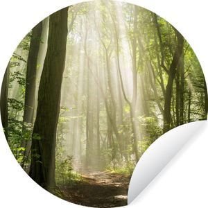 Behangcirkel - Behangcirkel zelfklevend - Behang rond - Zon - Licht - Bomen - Behangsticker - 100x100 cm - Rond behang - Wanddecoratie rond