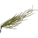Silk-ka Kunstplant voor Binnen (hang) Vetplant-Gras Groen-Rood 83 cm