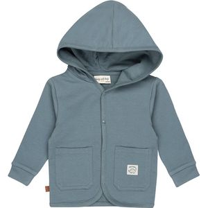 Frogs and Dogs - Dino Hoodie Jack Baby | Goblin Blauw - Katoen - Maat 50/56