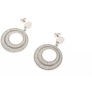 Edelstaal RVS oorbellen met glitter model JANE