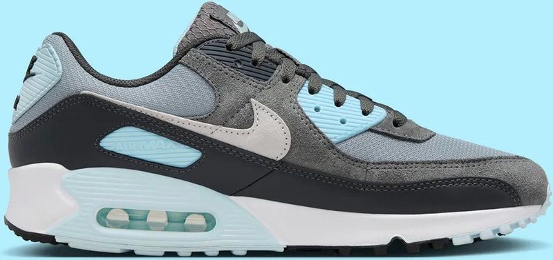 Sneakers Nike Air Max 90 Light Pumice Smoke Grey
