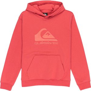 Quiksilver - Comp Logo - Hoodie - Geborsteld - Regular Fit