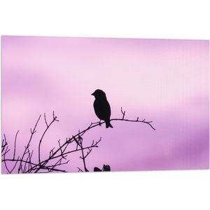Vlag - Silhouet van een Klein Vogeltje tegen Paarskleurige Lucht - 90x60 cm Foto op Polyester Vlag