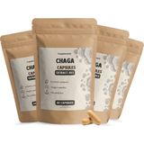 Chaga Extract Capsules - 400mg - BIO - Vegan - Duurzaam Verpakt