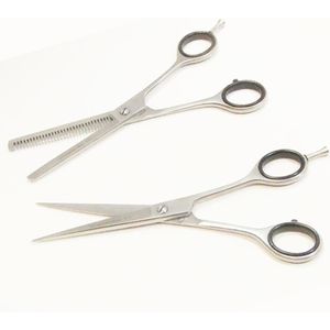 Guardian Beauty Scharenset - 6,5 Inch - Roestvrij Staal - Rechtshandig - Kappersgereedschap