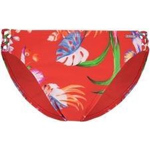Shiwi Regular Brief Straps Sayulita Regular Brief Straps Sayulita - 320 - 36