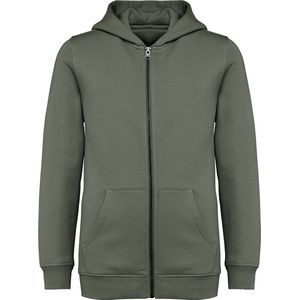 Native Spirit Ecologische kindersweater met rits en capuchon NS405 - Organic khaki - 10/12 years (10/12 ans)