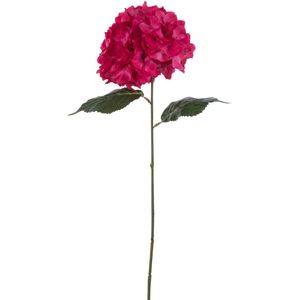 J-Line bloem Hydrangea Sproeier - kunststof - roze