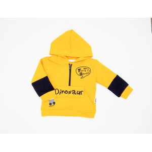 jongen set babyset - 2 delige set maat 74 kleuren varianten - broekje - sweater - maat 68 74 82 - kinderkleding set