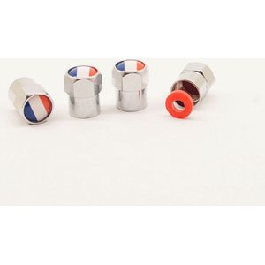Schrader (auto) ventiel - Zilver Frankrijk aluminium met afdichting