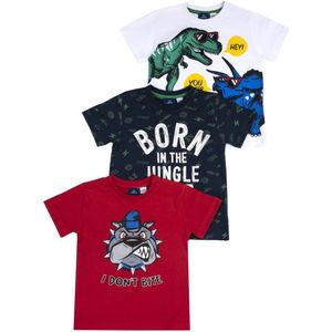 Chicco - Baby - Set van 3 Kinder T-shirt - Maat 98