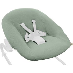 Hauck Baby Bouncer Cover - hoes wipstoeltje - Sage