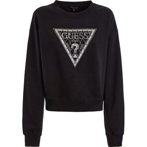 Guess Crystal Mesh Pullover Dames Sweater - Zwart - Maat L