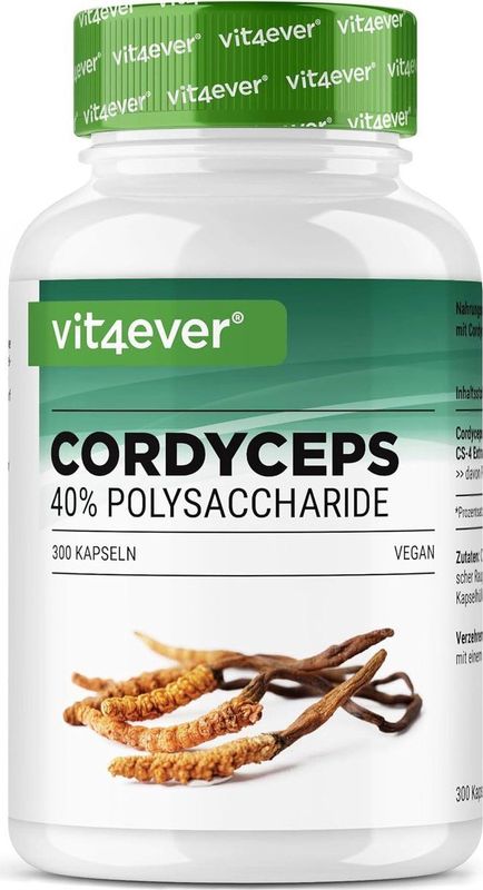 Vit4ever - Cordyceps - 300 Capsules - 650 mg CS-4 Extract - 40% Bioactieve Polysachariden - Veganistisch
