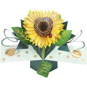 3D Pop-up wenskaart met envelop Sunflower